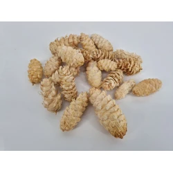 DOUGLASII BLANCHI +/-500GR