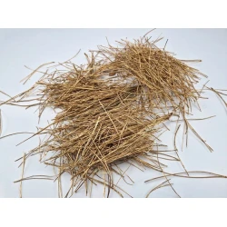 Aiguilles de pin séchées or +/-300gr