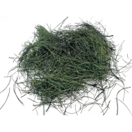 Pine needles green +/-300gr