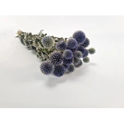 ECHINOPS NATURAL BOPP/kraft Small packaging