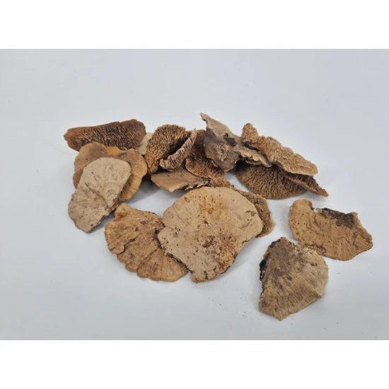 ELF BANK (SPONGE MUSHROOM) NATURAL 300GR