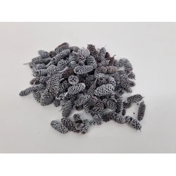 AULNES GRAND WHITE WASH +/-1KG