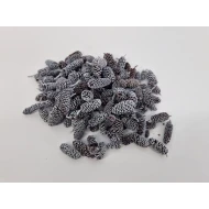 ALDER WHITE WASH +/-75GR