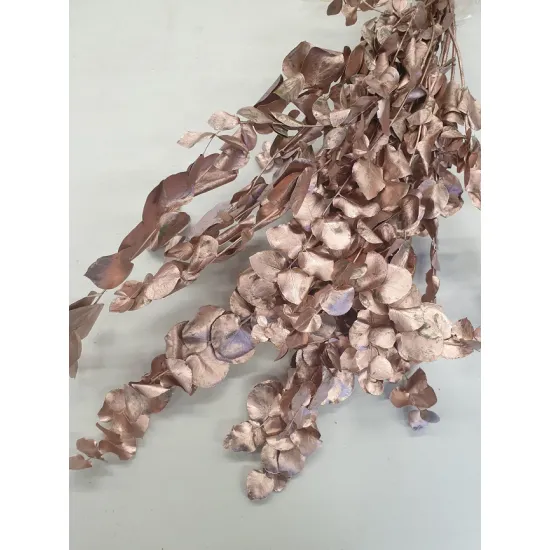EYCALYPTUS CYNEREAS ROSE GOLD +/-150GR