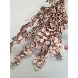 EUCALYPTUS CYNEREAS ROSE GOLD +/-150GR BOPP/kraft Small packaging