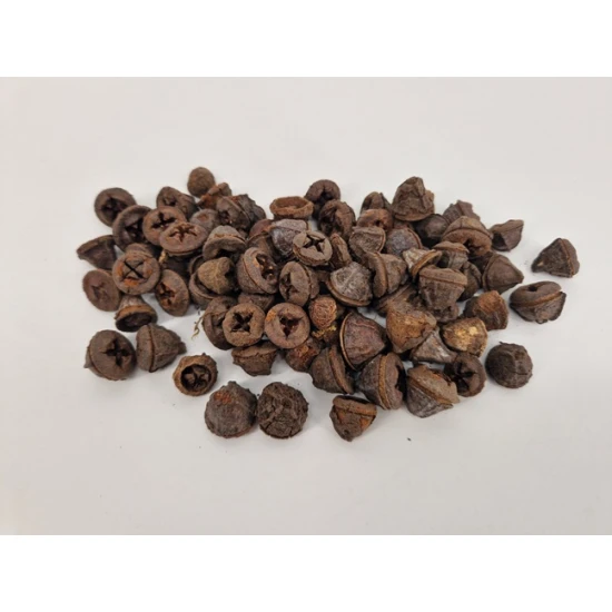 EUCALYPTUS FRUIT NATUREL