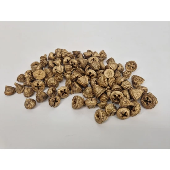 EUCALYPTUS PODS (FRUIT) OR +/-1KG