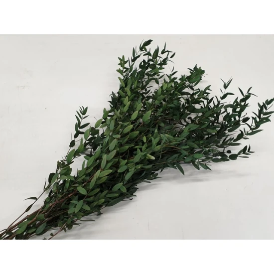 EUCALYPTUS PARVIFOLIA PRESERVED GREEN +/-75GR BOPP/kraft