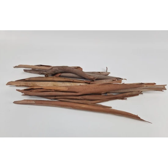EUCALYPTUSSCHORS NATURAL +/-200GR