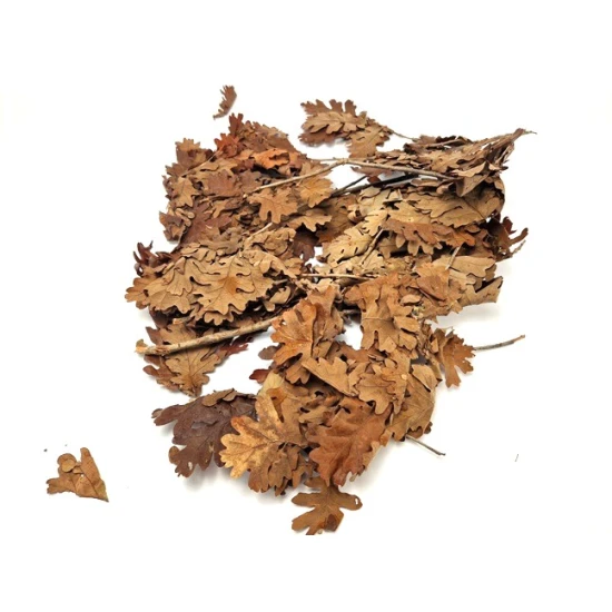 Feuilles de chêne orange +/-200gr