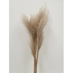 FLUFFY REED NATUREL 10ST