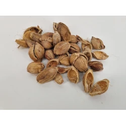 FIBRE CUP BEETLE HALF NATURAL +/-100GR