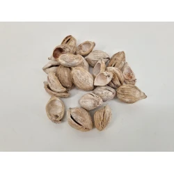 FIBRE CUP BEETLE HALF WHITE WASH +/-100GR