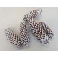 NORWAY SPRUCE WHITE WASH +/-200GR