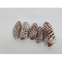 EPINETTE DE NORVE WHITE WASH +/-500GR