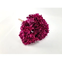 HORTENSIA STABILISE (HYDRANGEA) +/-15CM BORDEAUX 1PC