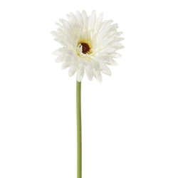 GERBERA 58CM WHITE