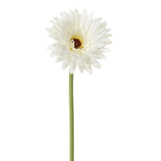 GERBERA 58CM WIT