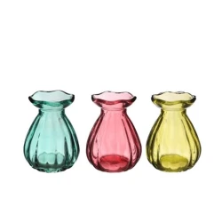 BOTTLE D7 H9 MIX SUMMER 12PCS