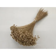 GLIXIA GOUD +/-50GR BOPP/kraft hobbyverpakking