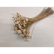 GLIXIA GIANT WIT +/-50GR BOPP/kraft hobbyverpakking