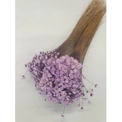 GLIXIA LILAC +/-50GR BOPP/kraft Small packaging