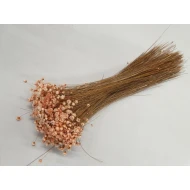 GLIXIA MELONE +/-50GR BOPP/kraft emballage hobby