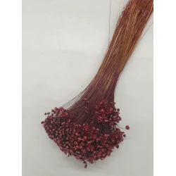 GLIXIA PRUNE +/-50GR BOPP/kraft Small packaging