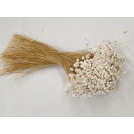 GLIXIA WIT +/-50GR BOPP/kraft hobbyverpakking