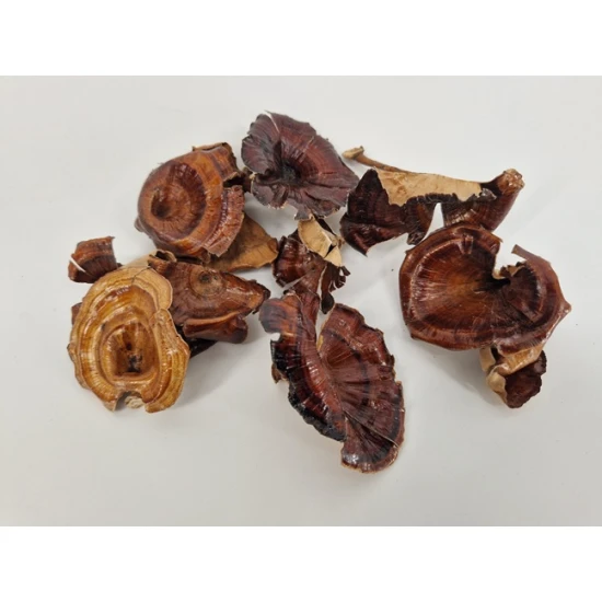 GOLDEN MUSHROOM MEDIUM NATUREL