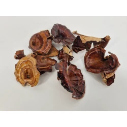 GOLDEN MUSHROOM MEDIUM NATUREL +/-250GR