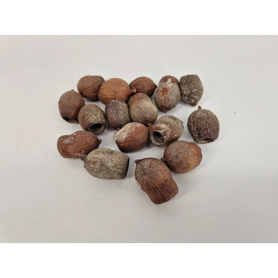 GUMBELLS NATUREL