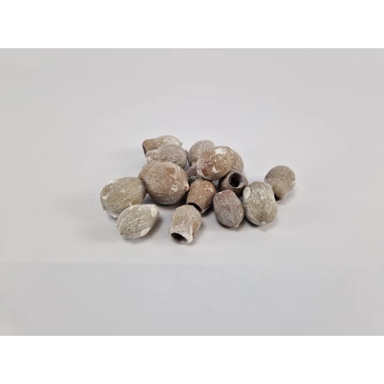 GUMBELLS WHITE WASH