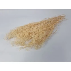 GYPSOPHILA MINI CREAM +/-100GR