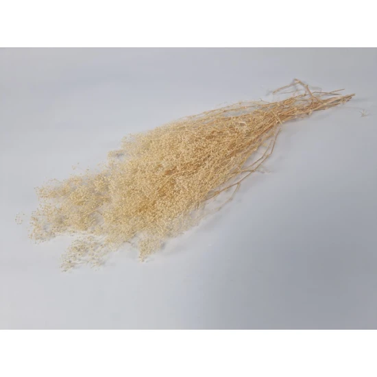 GYPSOPHILA MINI CREAM +/-50GR BOPP/kraft hobbyverpakking