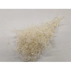 GYPSOPHILA MINI BLEACHED +/-50GR BOPP/kraft Small packaging