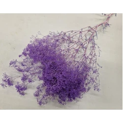 GYPSOPHILA MINI LILAC +/-50GR BOPP/kraft Small packaging