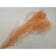 GYPSOPHILA MINI ORANGE +/-50GR BOPP/kraft Small packaging