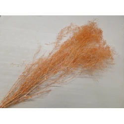 GYPSOPHILA MINI ORANGE +/-50GR BOPP/kraft Small packaging