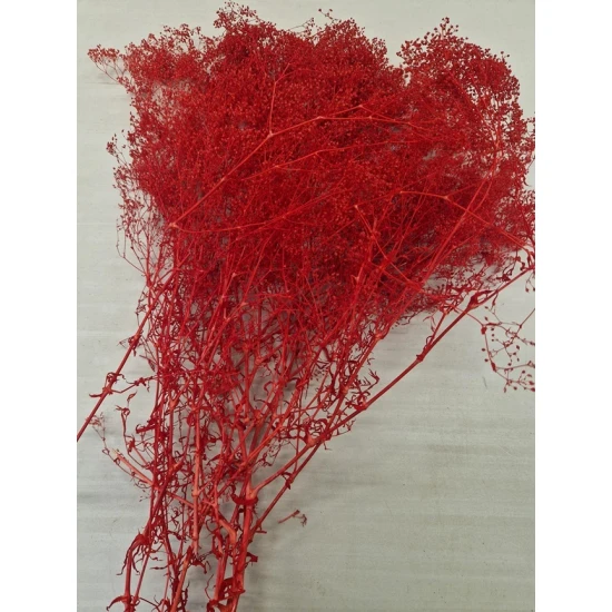 GYPSOPHILA MINI RED +/-100GR