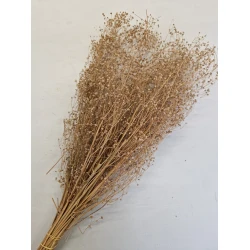 GYPSOPHILA WILD BROWN BOPP/kraft Small packaging