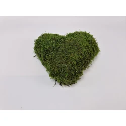 HEART PRESERVED GREEN MOSS 30CM