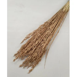 OAT ANTIQUE GOLD 1/2 BOPP/kraft Small packaging