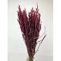 AVOINE BORDEAUX BOPP/kraft emballage hobby