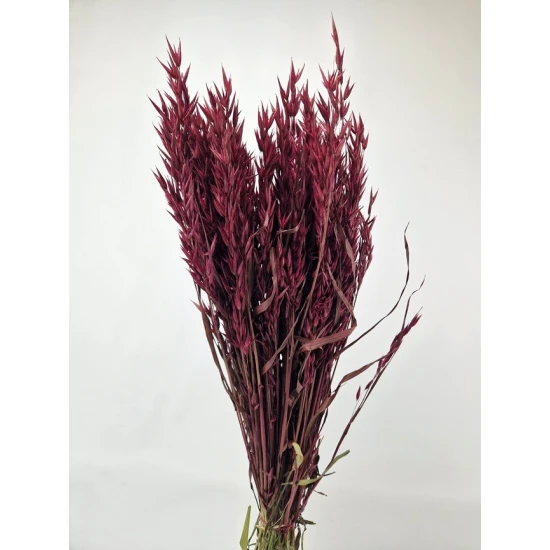 HAVER BORDEAUX BOPP/kraft hobbyverpakking