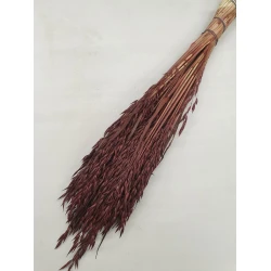 OAT DARK BROWN 1/2 BOPP/kraft Small packaging