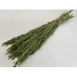 OAT GREEN 1/2 BOPP/kraft Small packaging