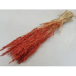 OAT ORANGE 1/2 BOPP/kraft Small packaging