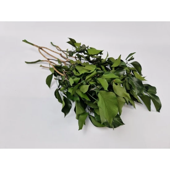 HEDERA (KLIMOP) GECONSERVEERD GROEN +/-200GR