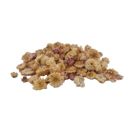 HELICHRYSUM HEADS CREAM/PINK NATURAL +/-40GR